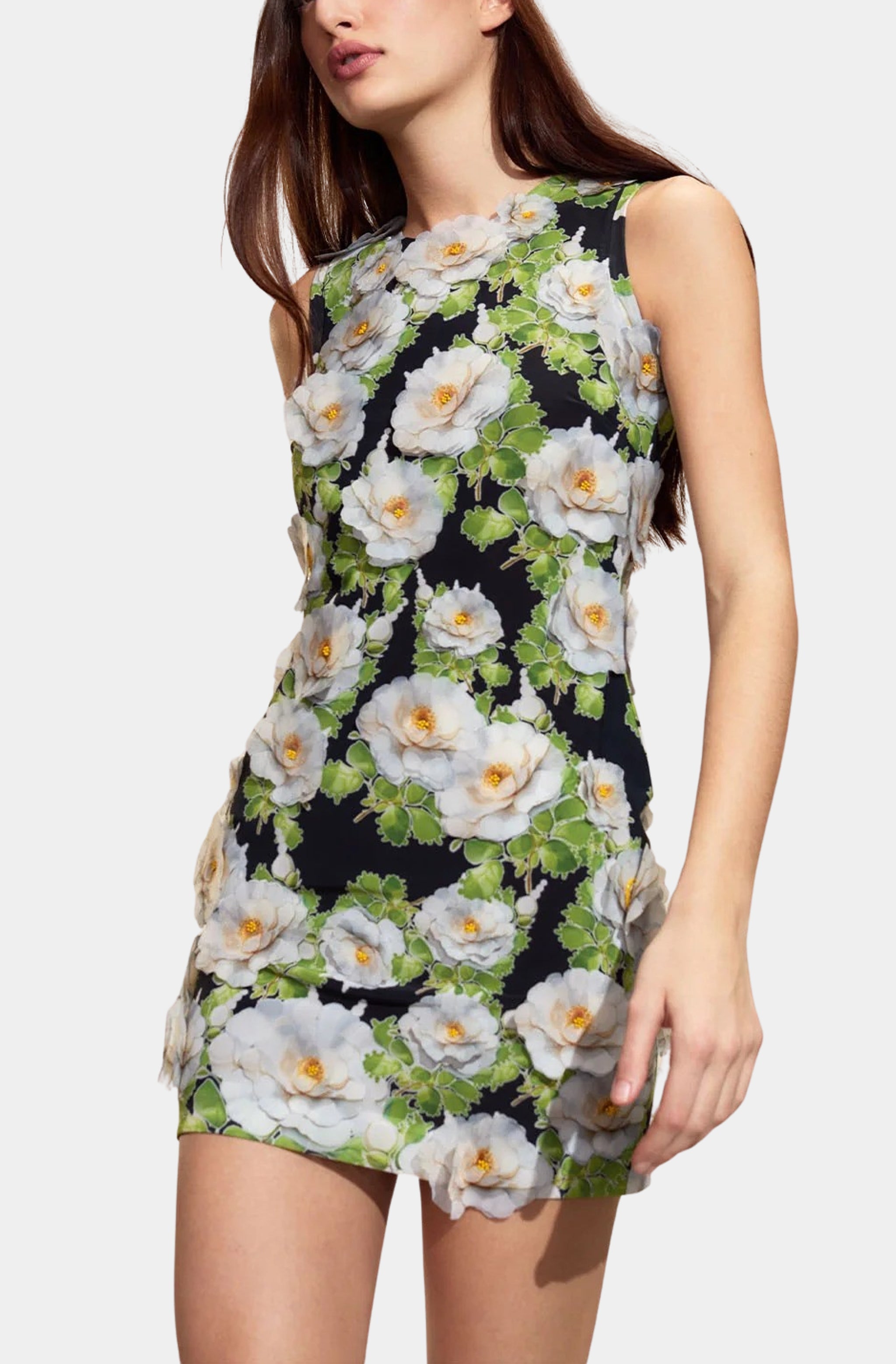Organza Applique Mini Dress