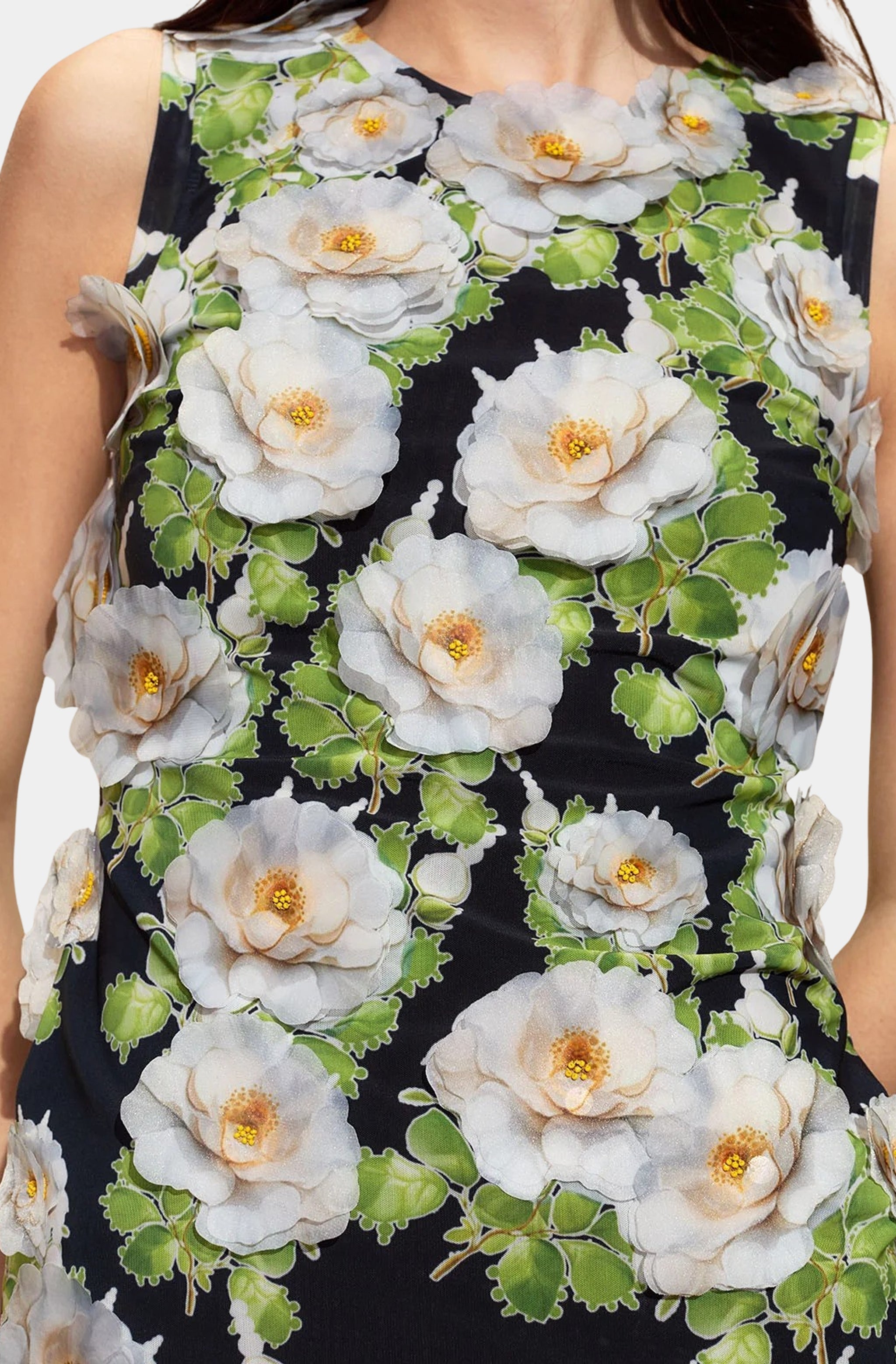 Organza Applique Mini Dress