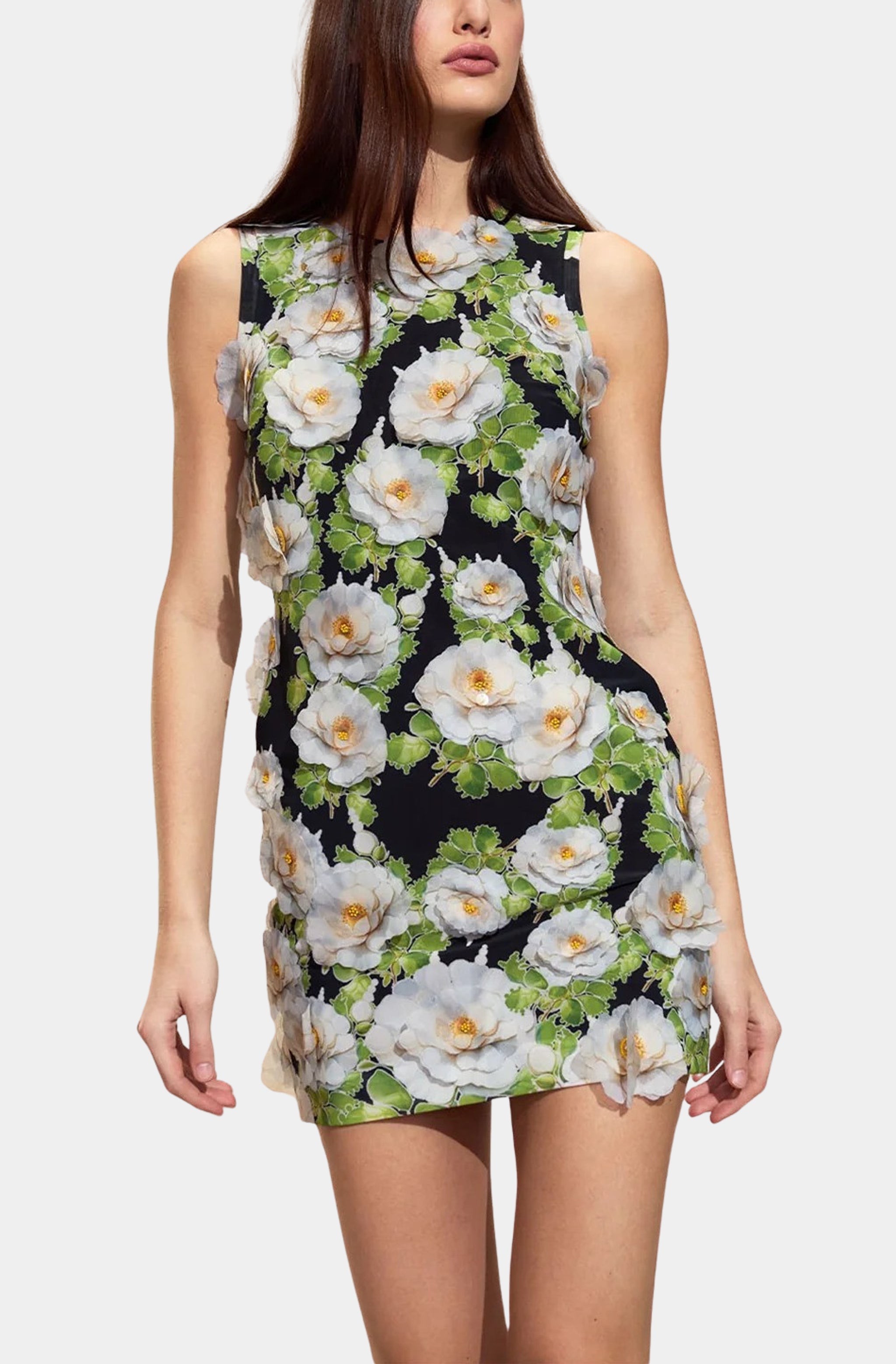 Organza Applique Mini Dress