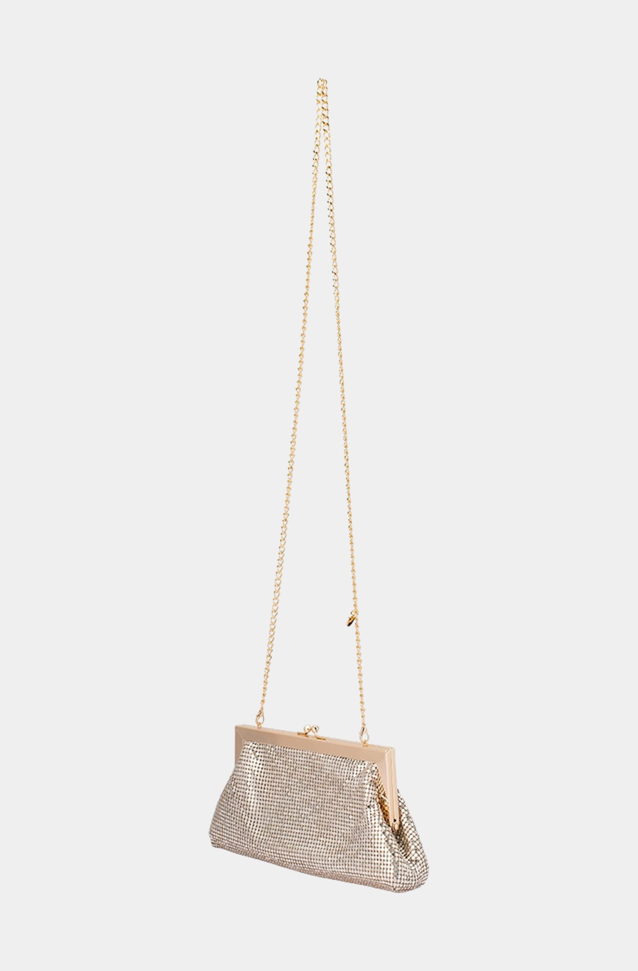 Zara Mesh Frame Clutch