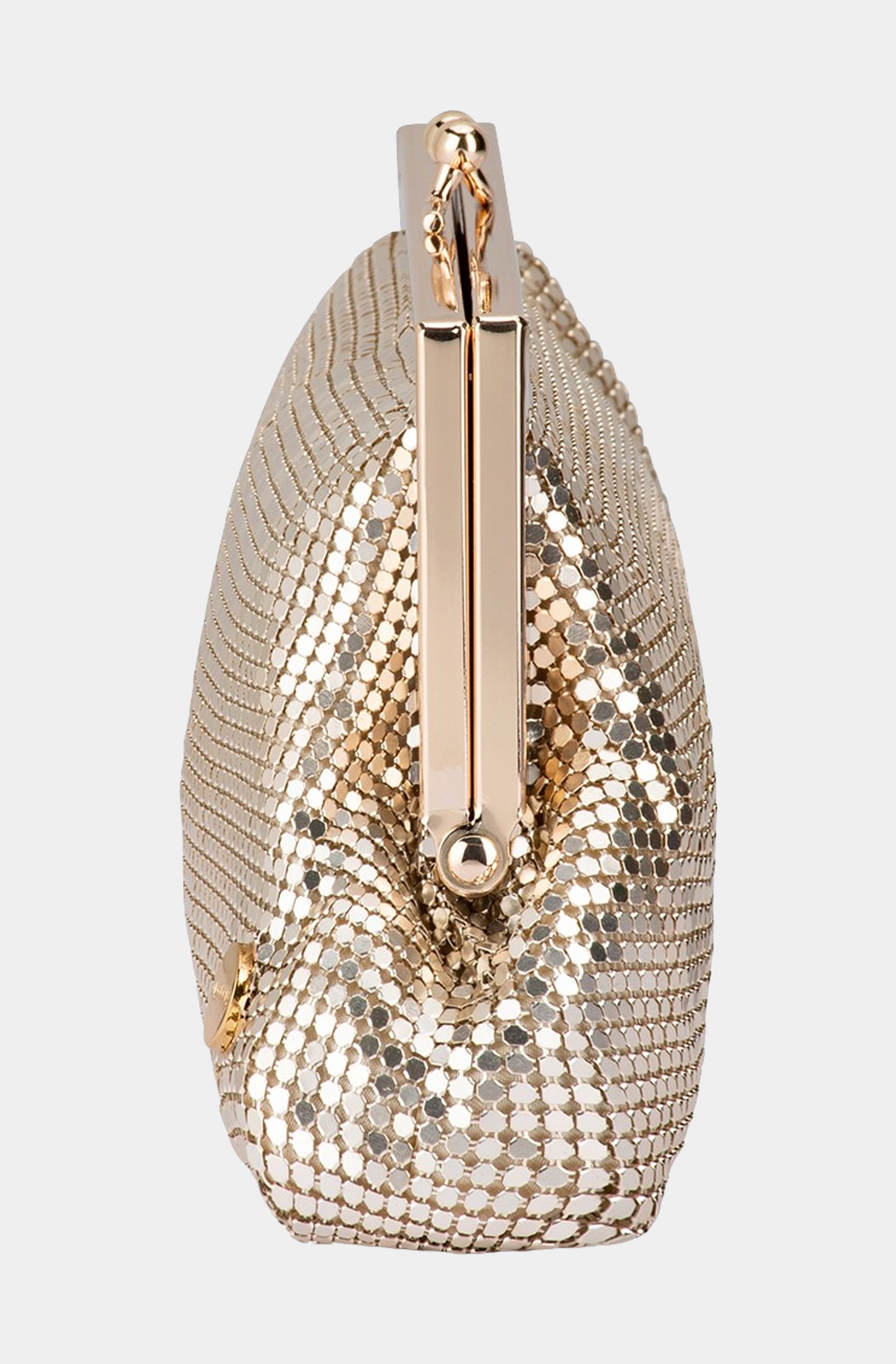 Zara Mesh Frame Clutch