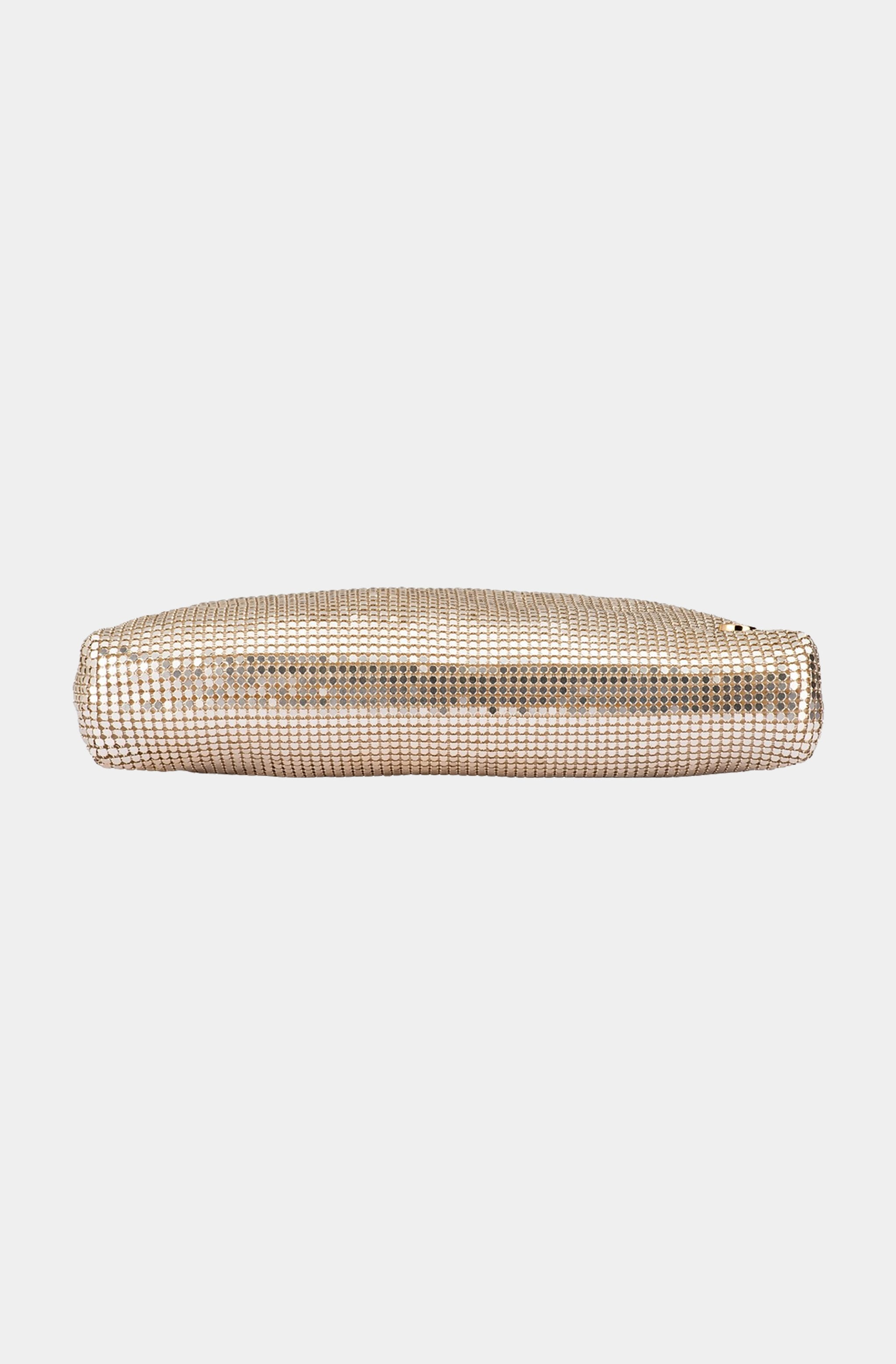 Zara Mesh Frame Clutch