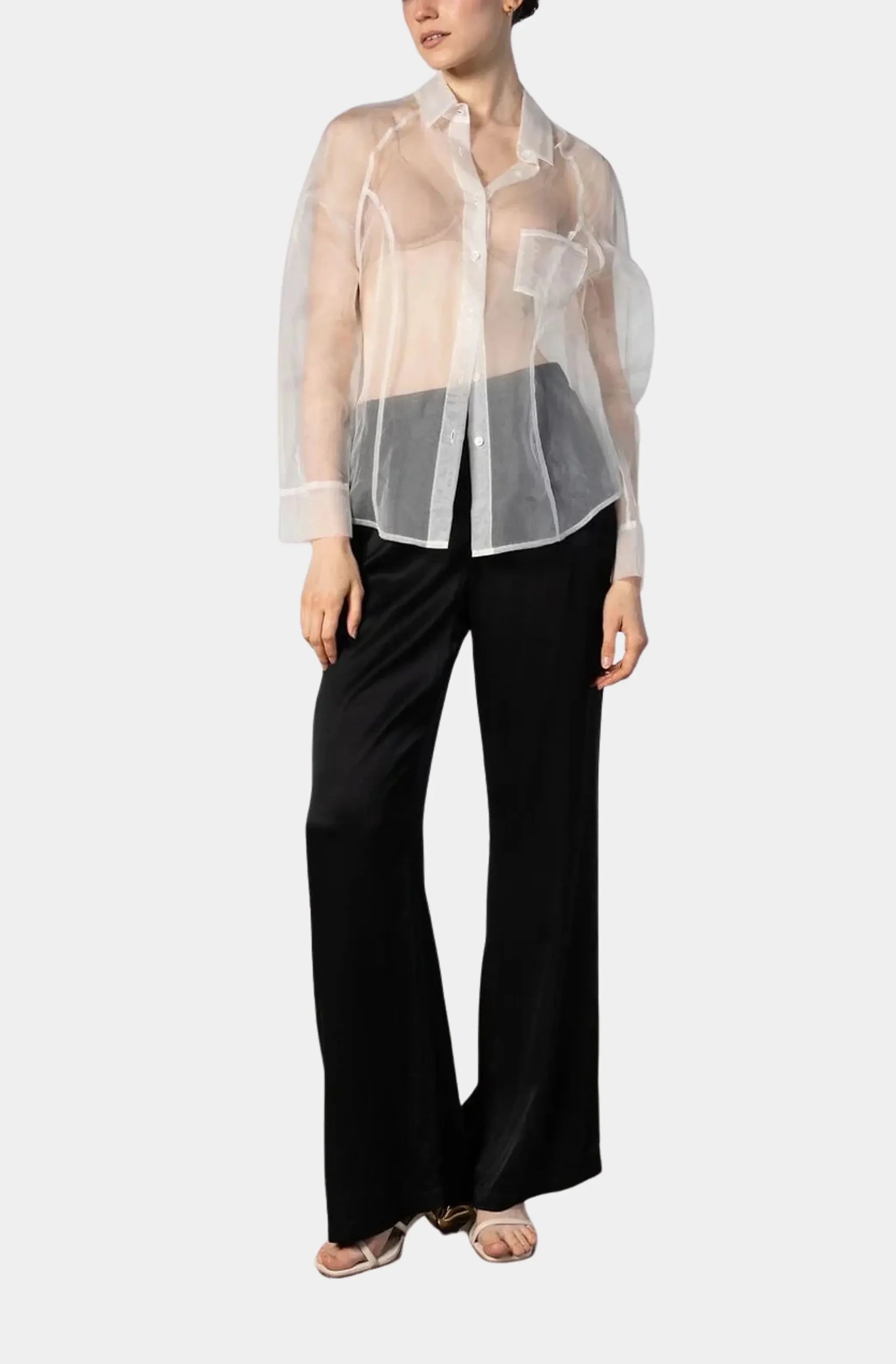 Sheer Organza Silk Structured Shirt