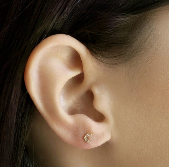 Mini Pave Moon Earrings